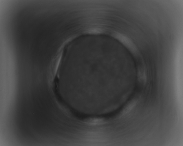 X0000100890208200807081048