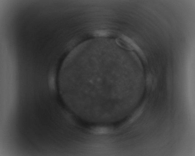 X0000100890209200807081048