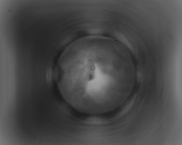 X0000100890211200807081048