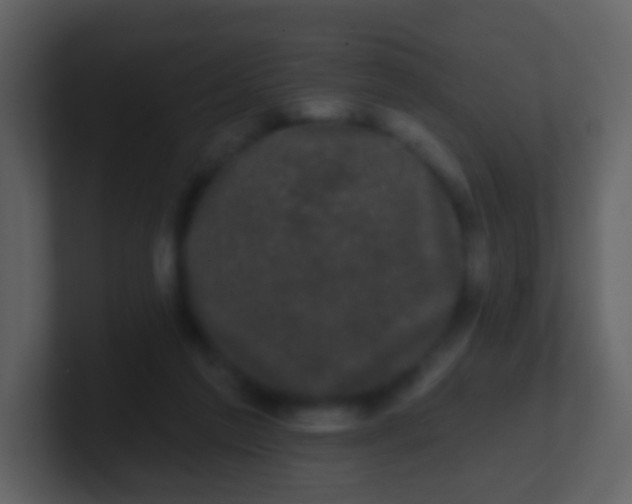 X0000100890213200807081048