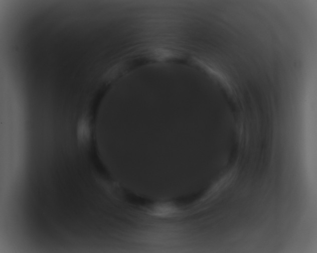 X0000100890214200807081048