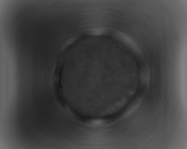 X0000100890216200807081048