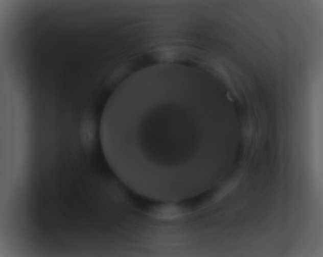 X0000100890219200807081048