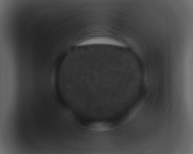 X0000100890221200807081048