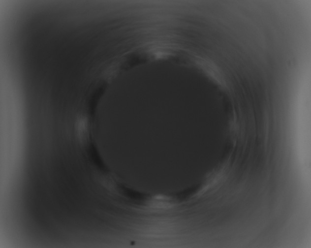 X0000100890222200807081048