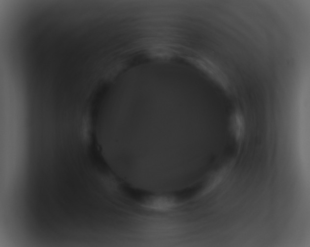 X0000100890223200807081048