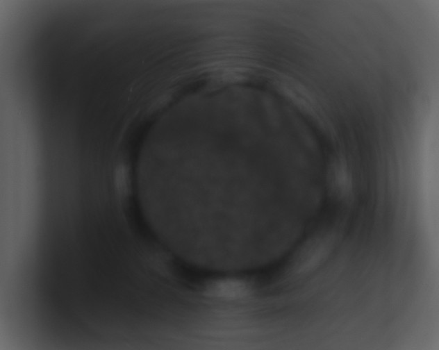 X0000100890224200807081048