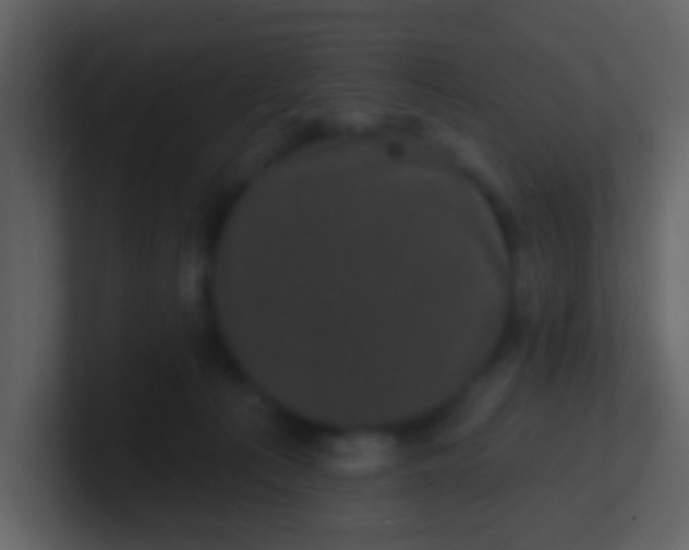 X0000100890225200807081048