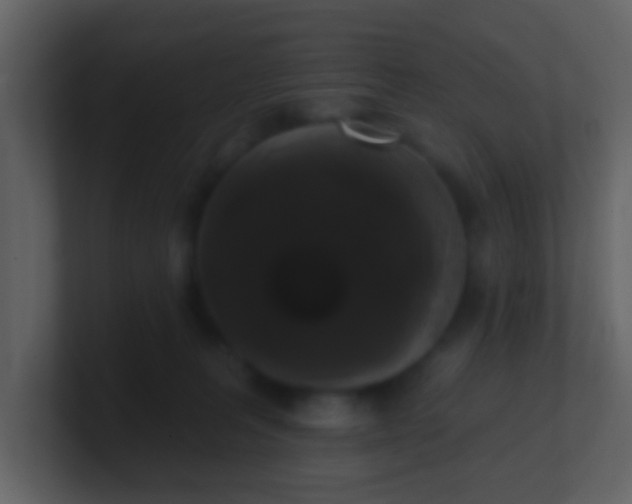 X0000100890227200807081048