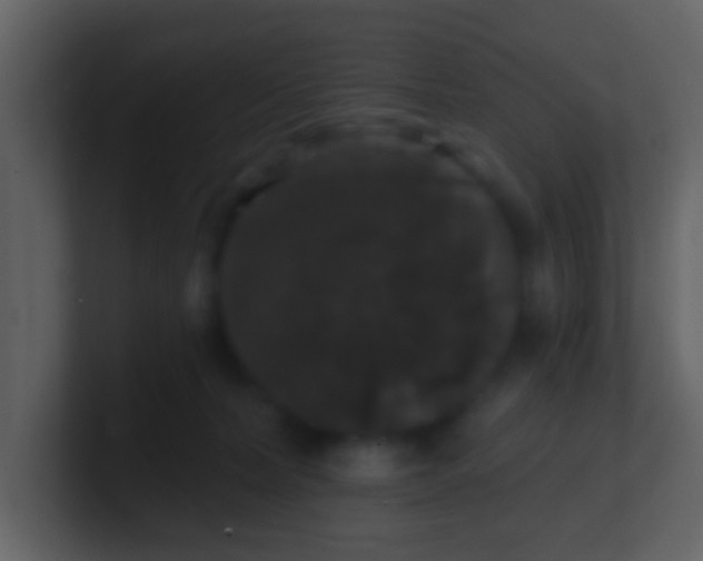 X0000100890228200807081048