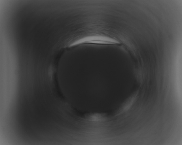 X0000100890229200807081048