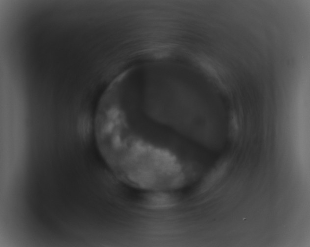 X0000100890230200807081048