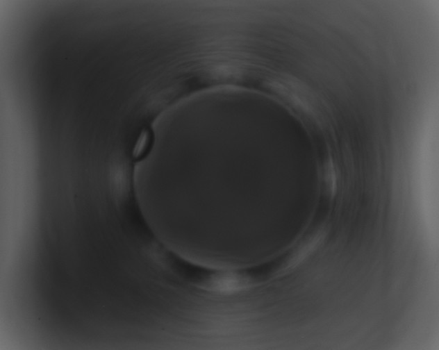 X0000100890231200807081048