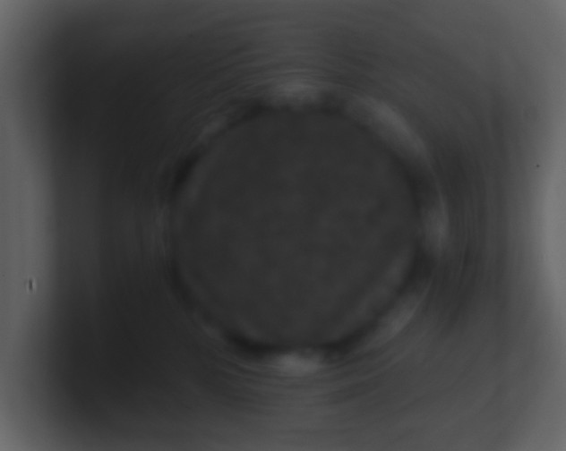 X0000100890232200807081048