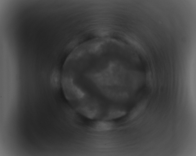 X0000100890234200807081047