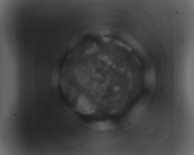 X0000100890236200807081047