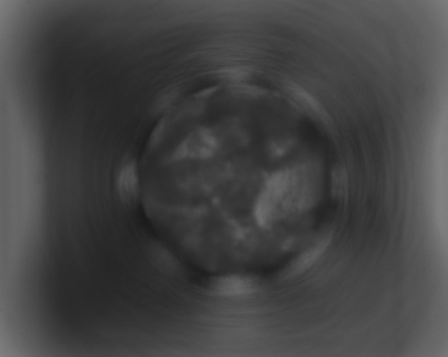 X0000100890238200807081047