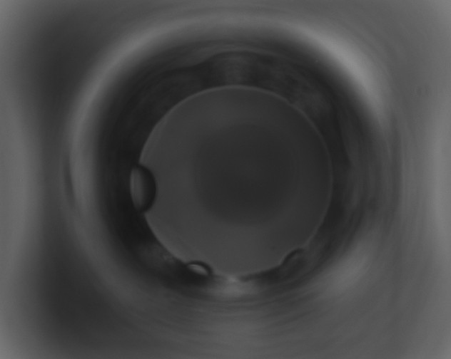 X0000100890239200807081047