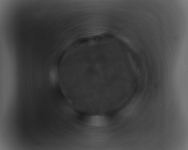 X0000100890240200807081047