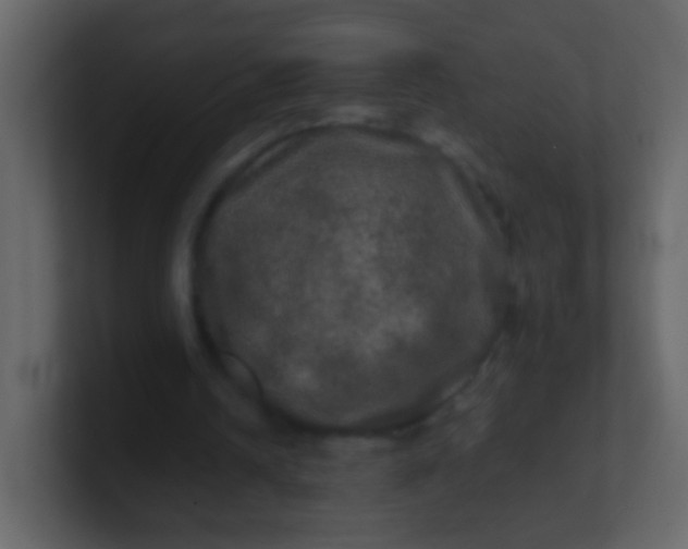 X0000100890242200807081047