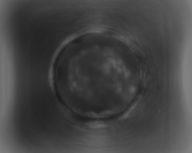 X0000100890244200807081047