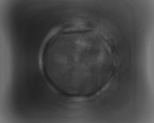 X0000100890245200807081047