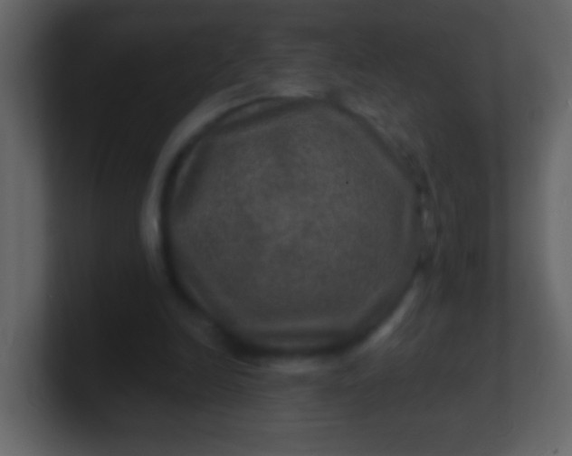 X0000100890246200807081047