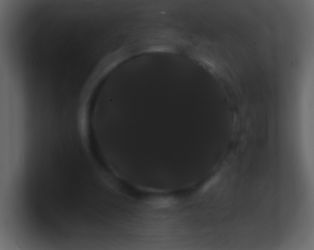 X0000100890247200807081047