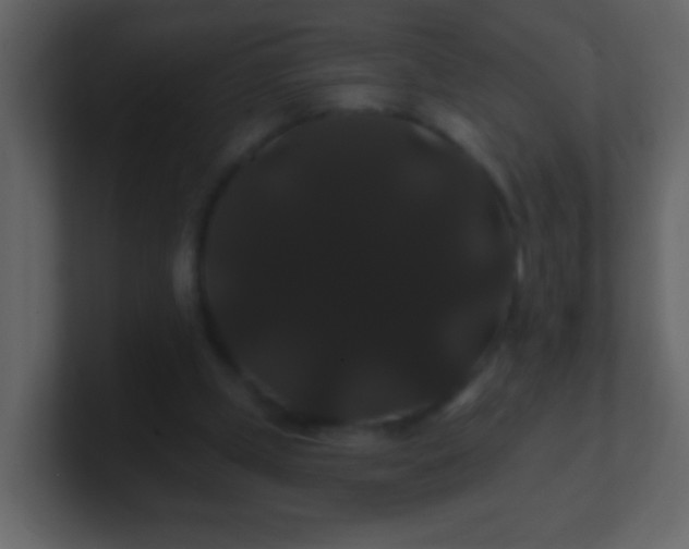 X0000100890249200807081047