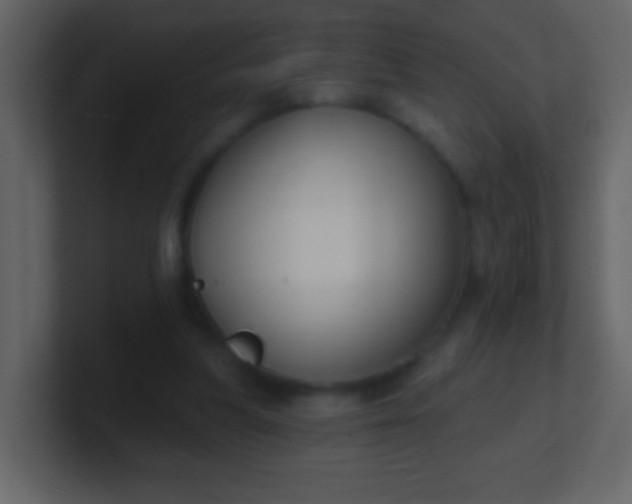 X0000100890251200807081047