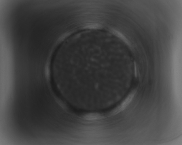 X0000100890252200807081047