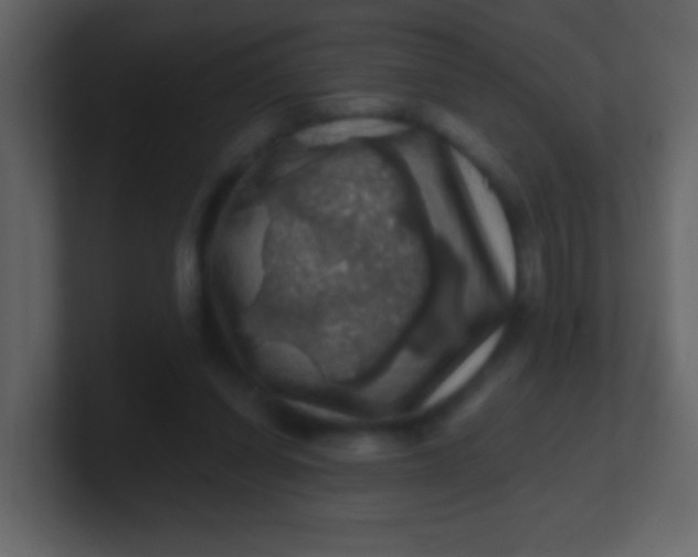 X0000100890254200807081047