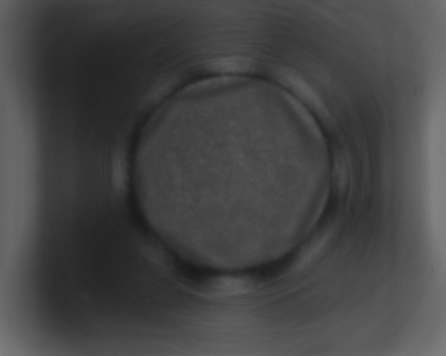 X0000100890255200807081047