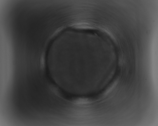 X0000100890256200807081047