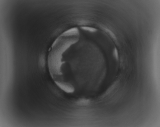 X0000100890257200807081047