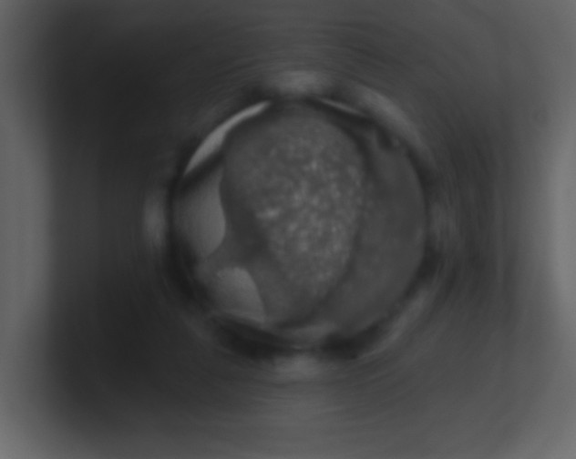 X0000100890259200807081047