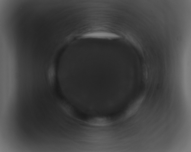 X0000100890260200807081047