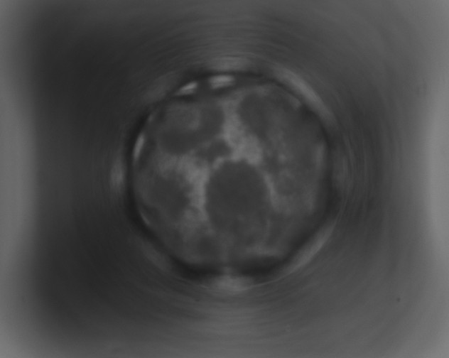 X0000100890261200807081047