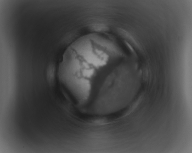 X0000100890263200807081047