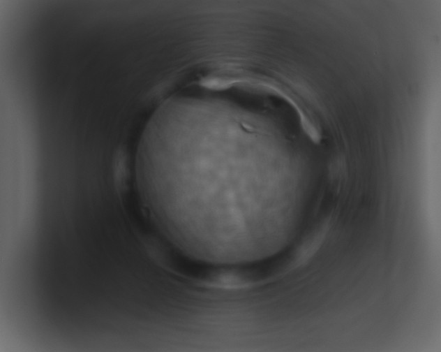 X0000100890264200807081047