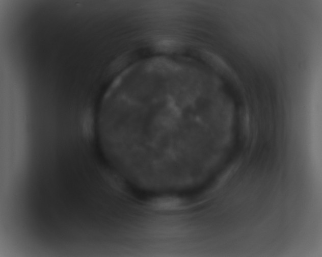 X0000100890266200807081047