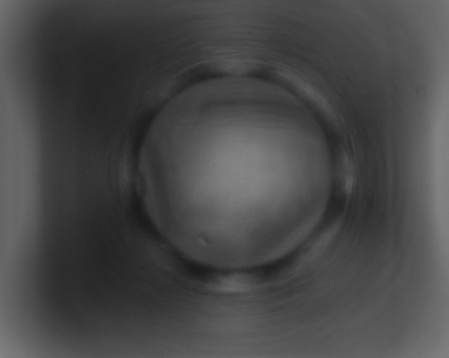 X0000100890268200807081047