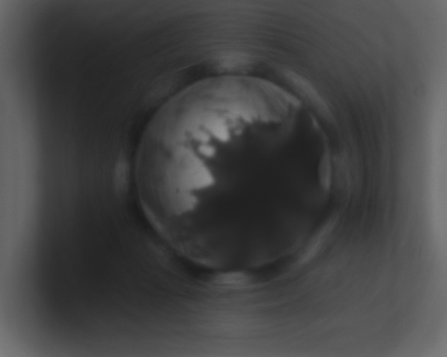 X0000100890269200807081047