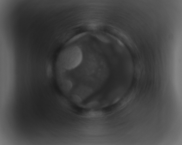 X0000100890270200807081047