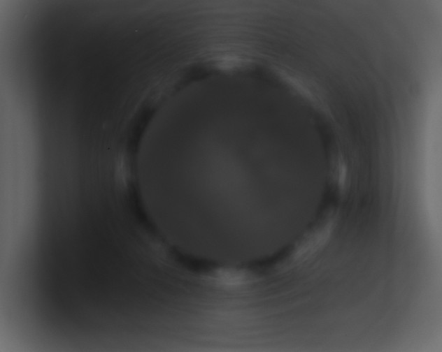 X0000100890272200807081047