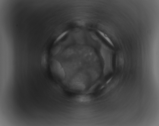 X0000100890275200807081047