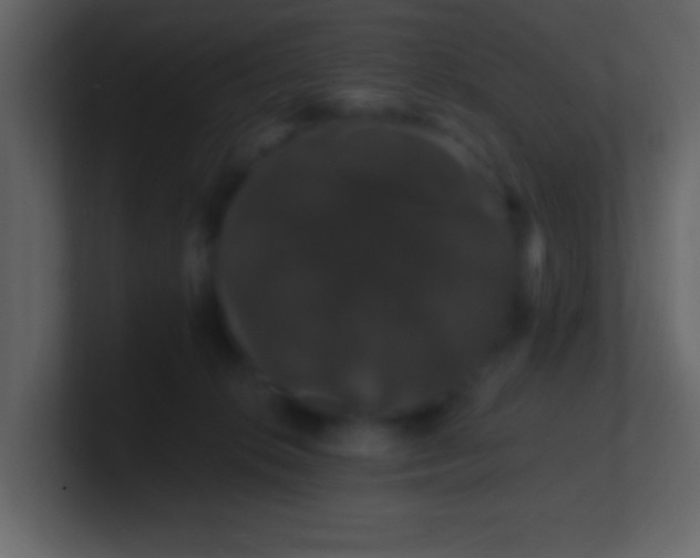 X0000100890276200807081047