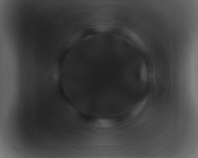 X0000100890277200807081047