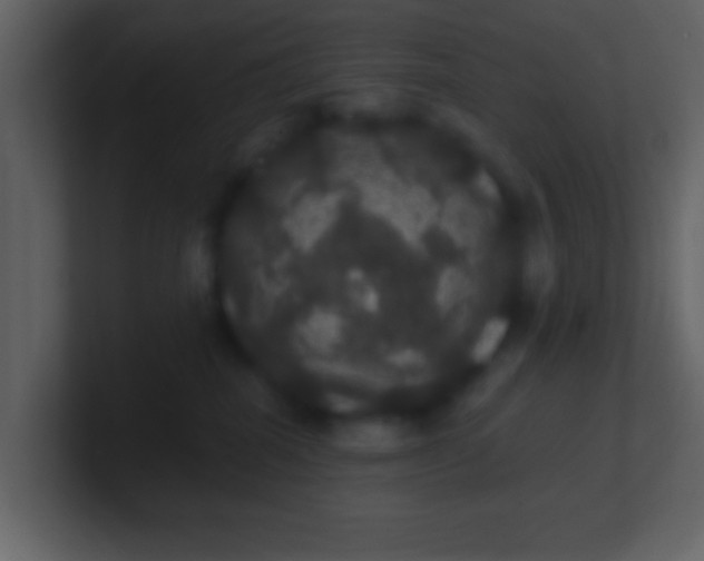 X0000100890282200807081047