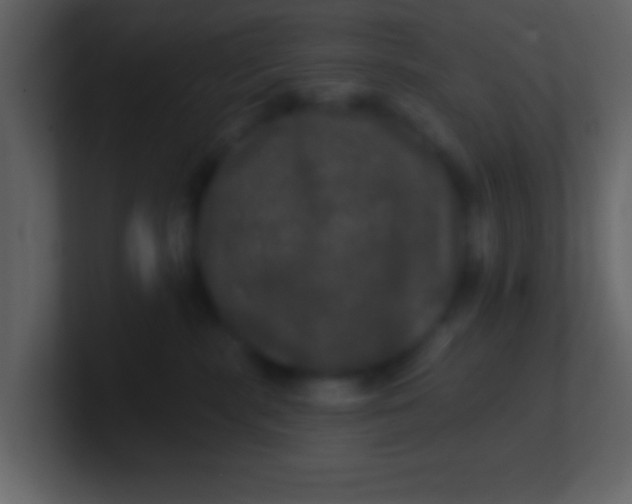 X0000100890283200807081047